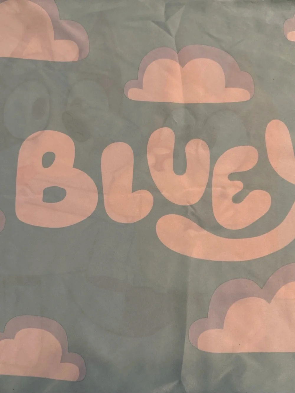 Bluey One Standard Size  Pillowcase Bluey Bingo Multicolor